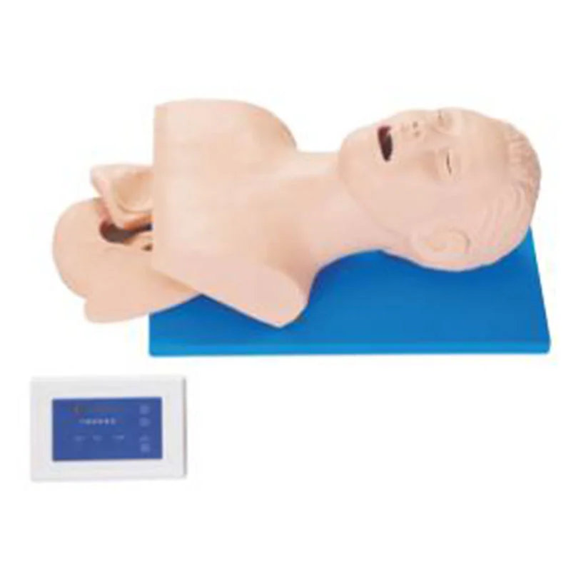 
			3 Modelo electrónico de entrenamiento para intubación traqueal ARI Equipos médicos de alta calidad		