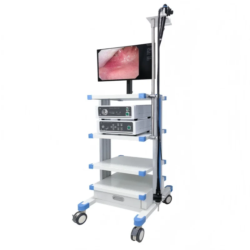 
			Videogastroscopio EMV-200E		