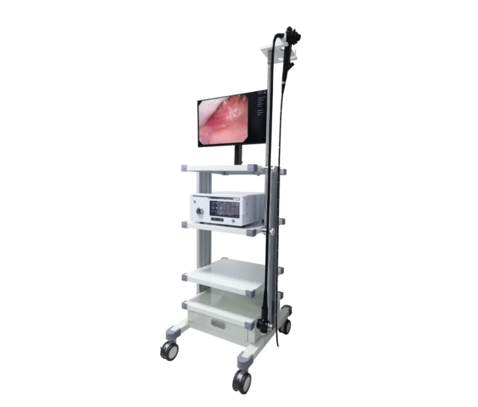 
			Videobroncoscopia EVB-5		
