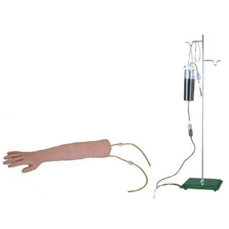
			Modelo de entrenamiento de venopunción con brazo en forma de S ARI Equipos médicos de alta calidad		