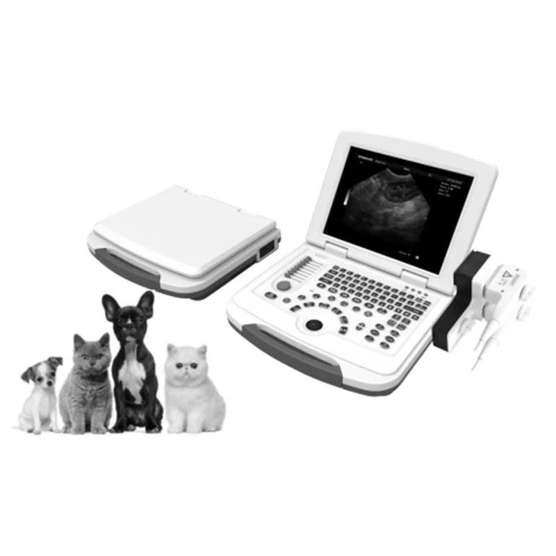 
			Escáner de ultrasonido portátil en blanco y negro VC-U10 ARI Equipos médicos de alta calidad		