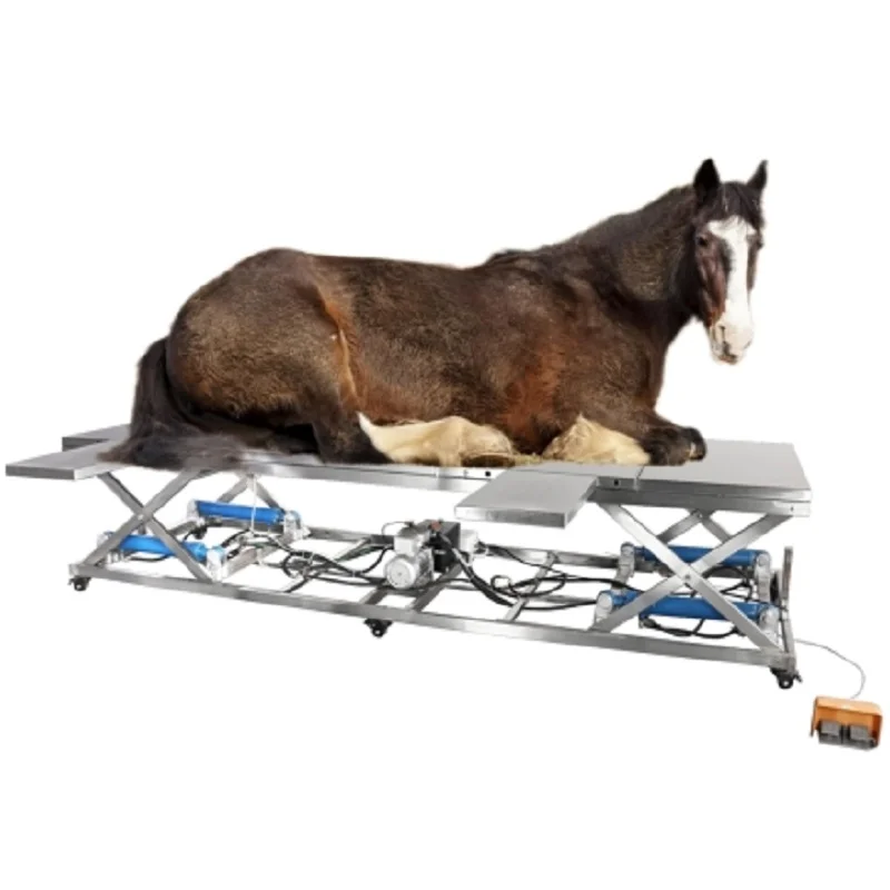 
			Mesa de operaciones veterinaria VOT-05 (electrohidráulica, para toros y caballos)		