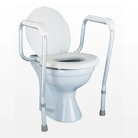 Bathroom Safety Frame
