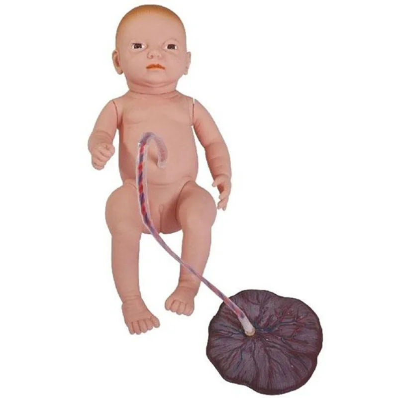 132 Neonatal Umbilical Cord Nursing Model