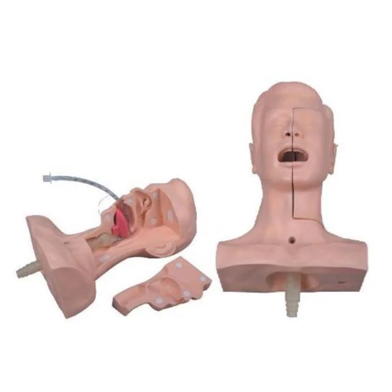 60 Suction Training Model