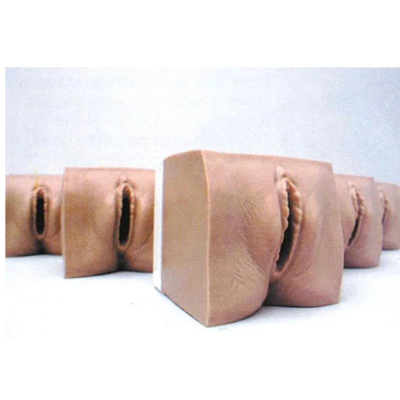 9A Prenatal Cervix and Birth Canal Model