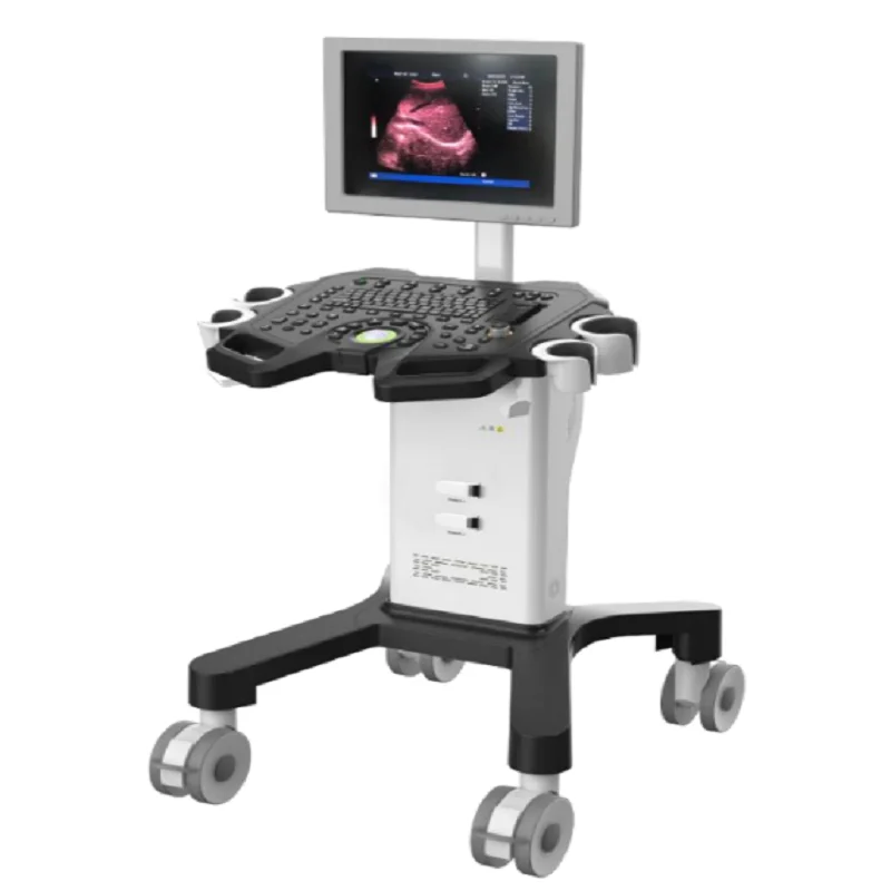 AR-K2 B/W Digital Ultrasound Scanner