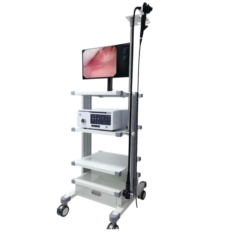 EMV-200+ECV-600 Video Gastroscope+Video Colonoscope