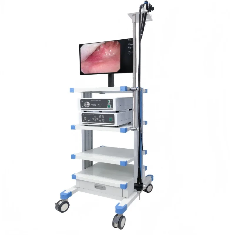 EMV-200E+ECV-600E Video Gastroscope+Video Colonoscope