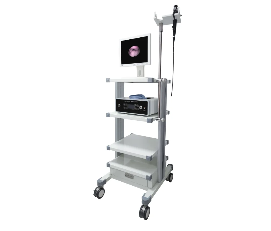 GBS-9 Fiber Nasopharyngoscope