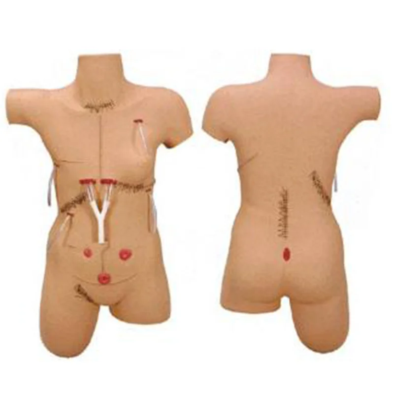 LV18 Surgical Suture and Bandage Model