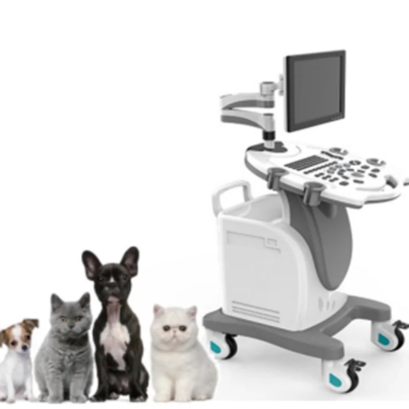 VC-U35 B/W Full Digital Trolley Ultrasound Scanner