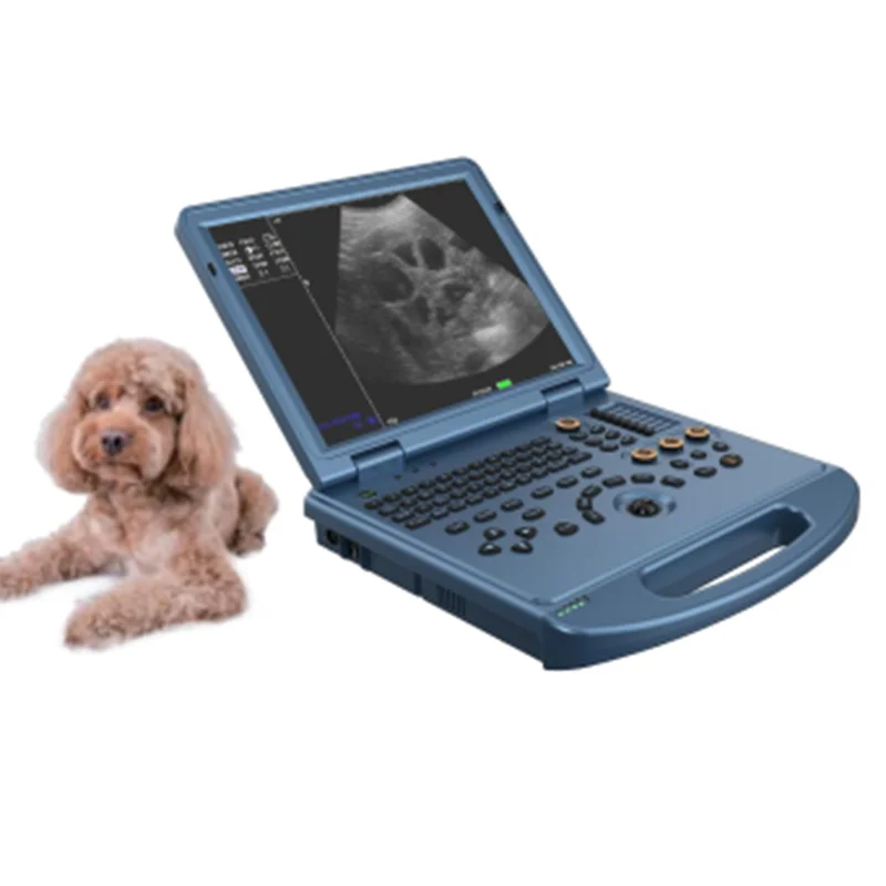 VC-U6 Portable Color Doppler Ultrasound Scanner
