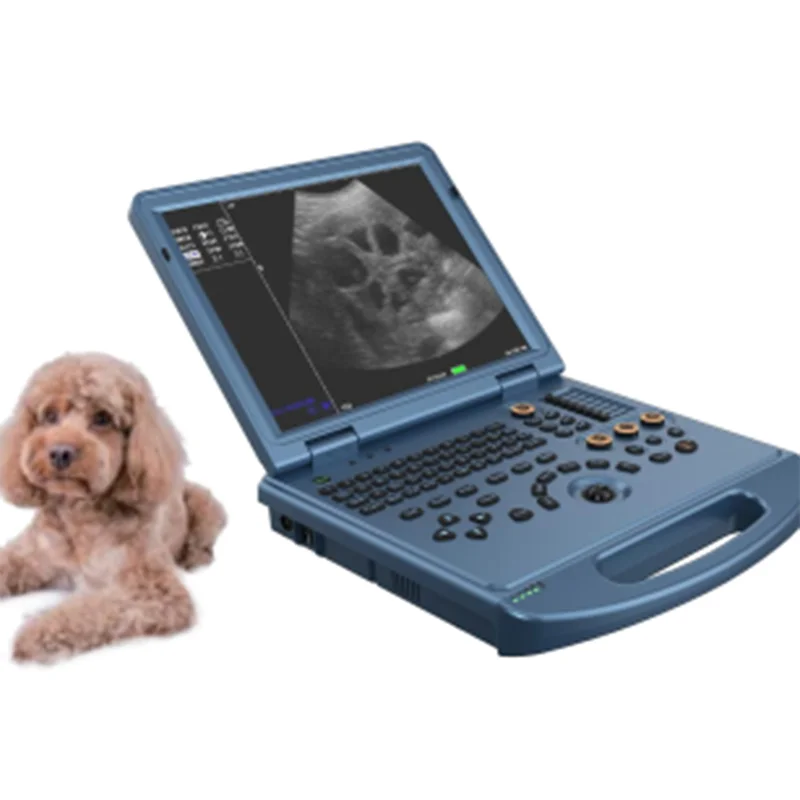 VC-U6 Pro Portable Color Doppler Ultrasound Scanner